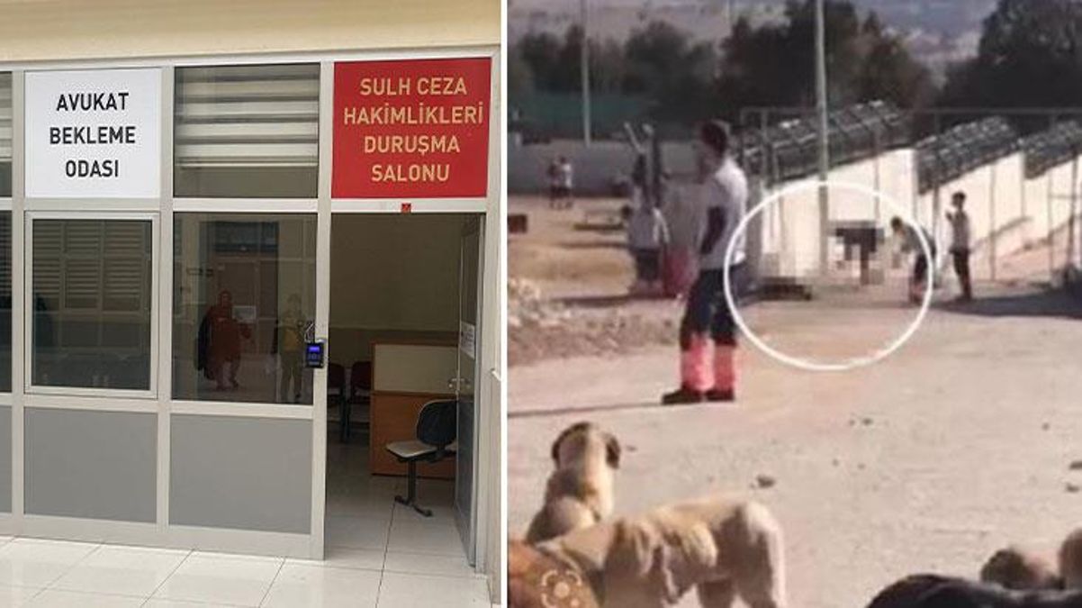 Konya'da köpekleri kürekle telef eden şahıslara bir darbe de barodan! Mahkemede kalakaldılar