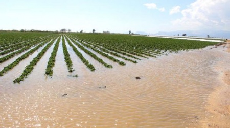 Silifke'de 109 dönüm tarım arazisi sular altında kaldı