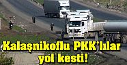 PKK yol kesip kimlik Kontrolü yaptı.